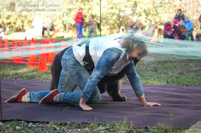 Фотография № 193143