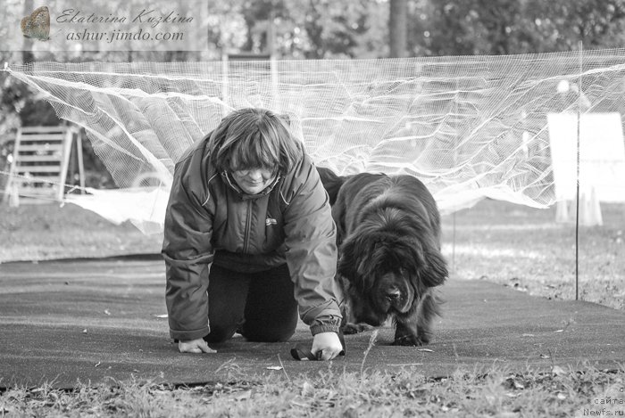 Фотография № 193144