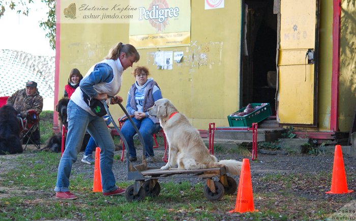Фотография № 193145