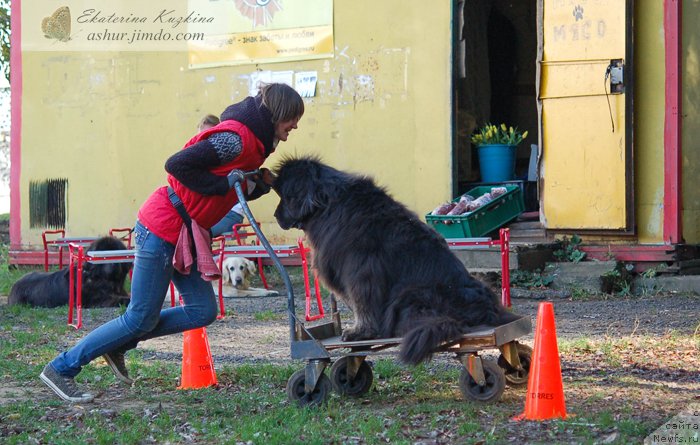 Фотография № 193146