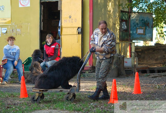 Фотография № 193147