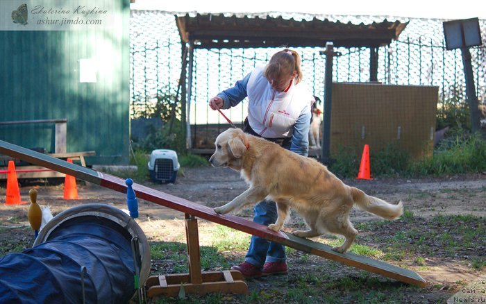 Фотография № 193149