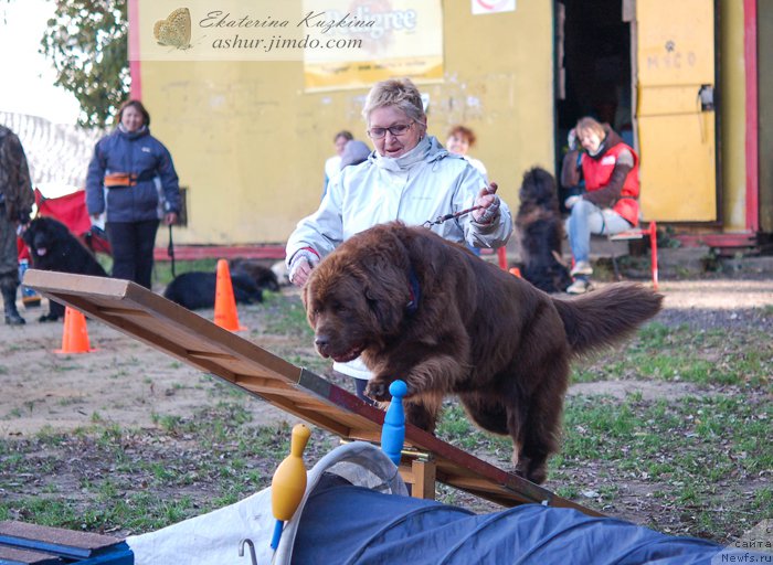 Фотография № 193151