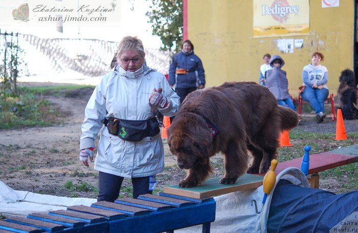 Фотография № 193152