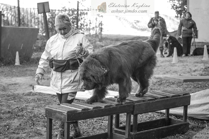 Фотография № 193153