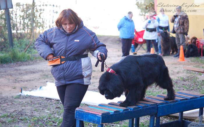 Фотография № 193154