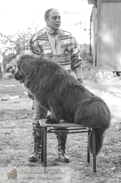 Фотография № 193155