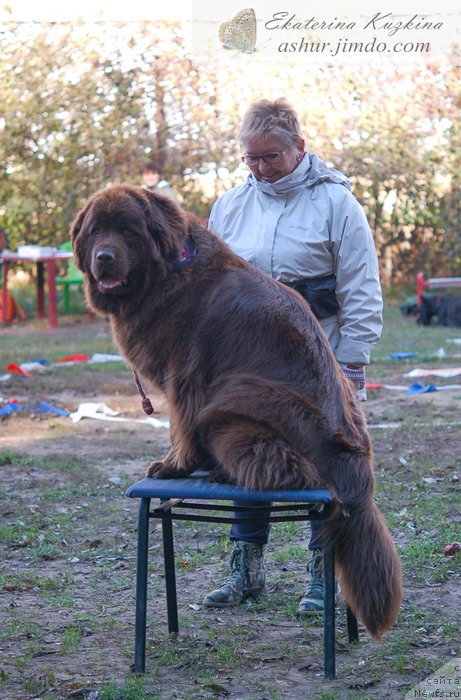 Фотография № 193156