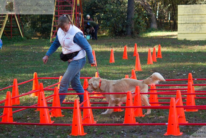 Фотография № 193157