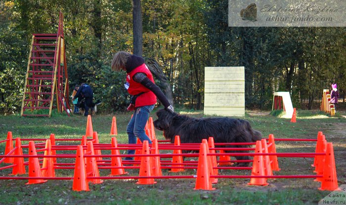 Фотография № 193158