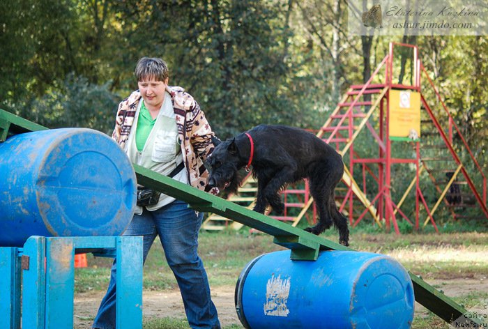 Фотография № 193159