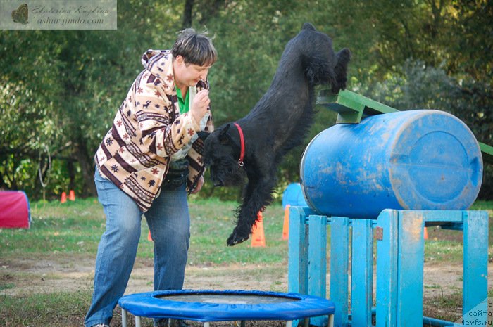 Фотография № 193160