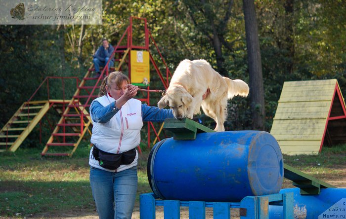 Фотография № 193161