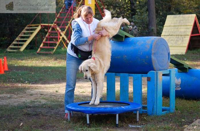 Фото: Лиса, Анна Петрушкина