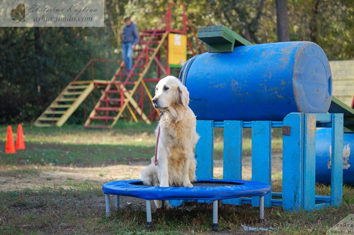 Фотография № 193163