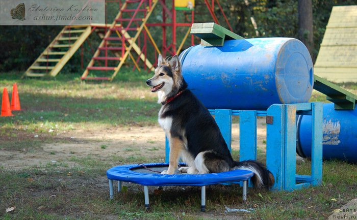 Фотография № 193164