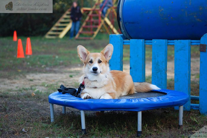 Фотография № 193165