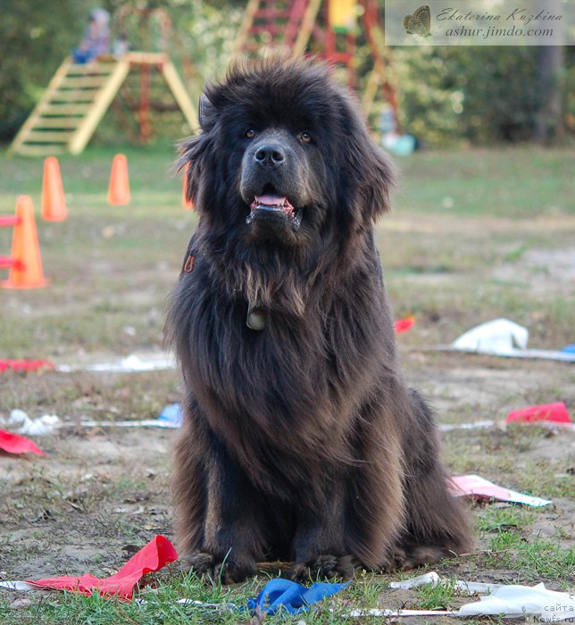 Фотография № 193167