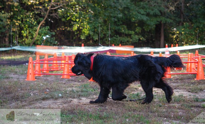 Фотография № 193168