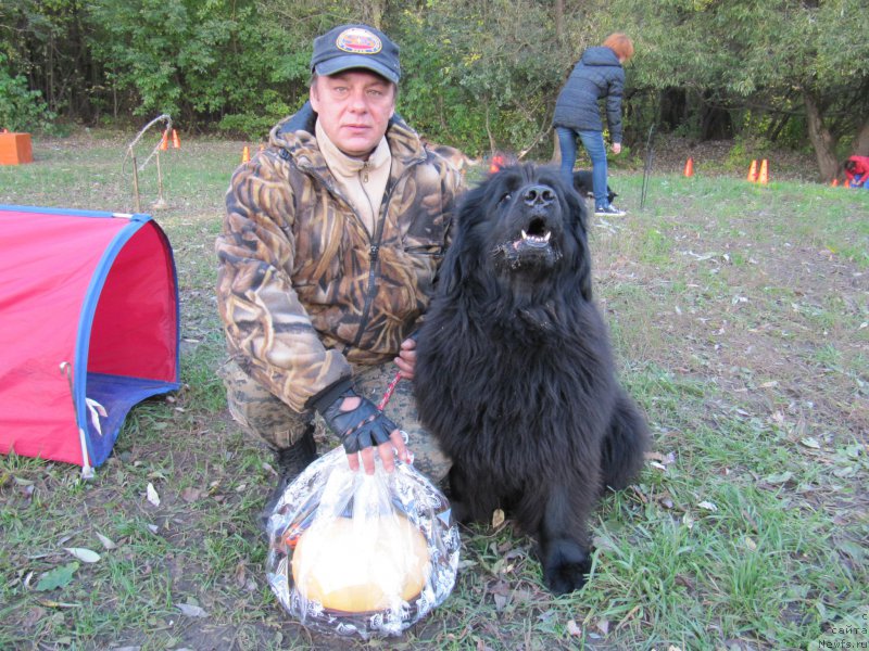 Фотография № 193169