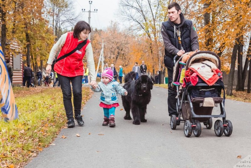 Фотография № 193174