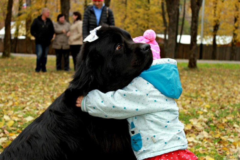 Фотография № 193175