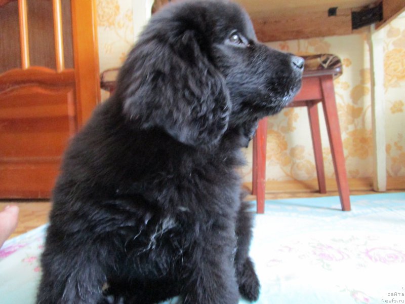 Фото: Светлана Фролова