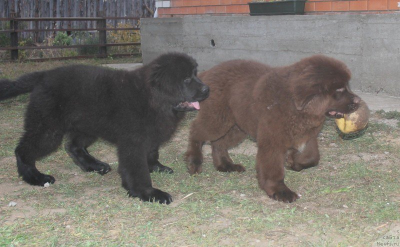 Фотография № 193178