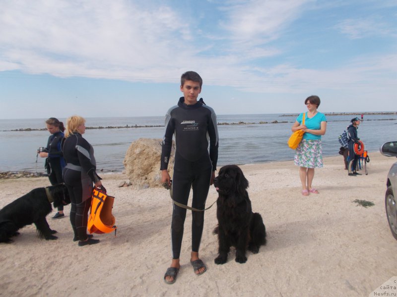 Фото: [d13074] и Миша