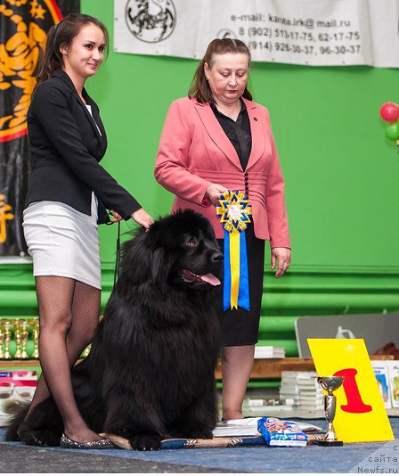 Фотография № 193202