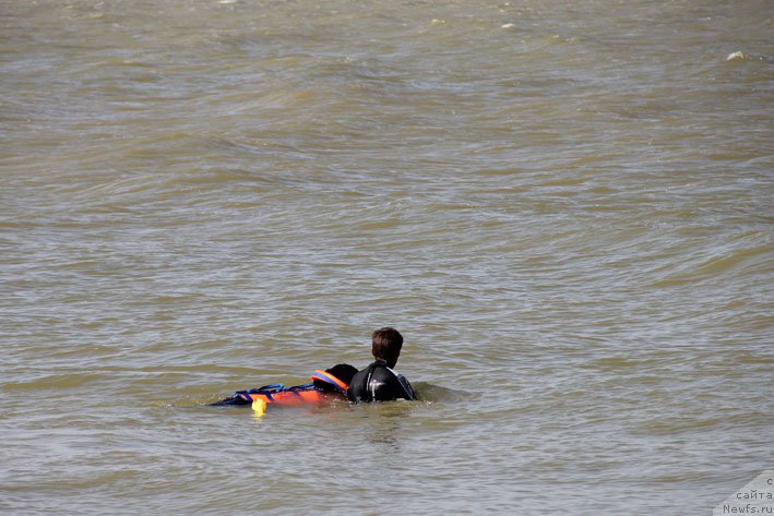 Фото: ньюфаундленд Эхо Москвы с Берега Дона (Eho Moskvy s Berega Dona), и, Миша