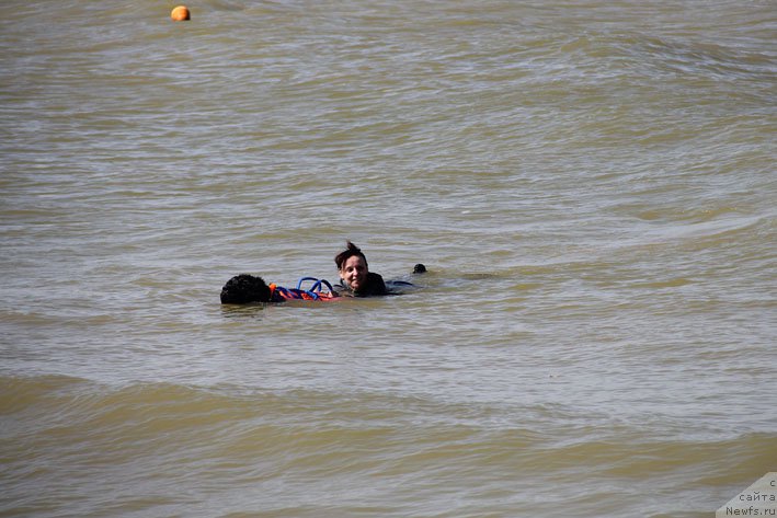 Фотография № 193212