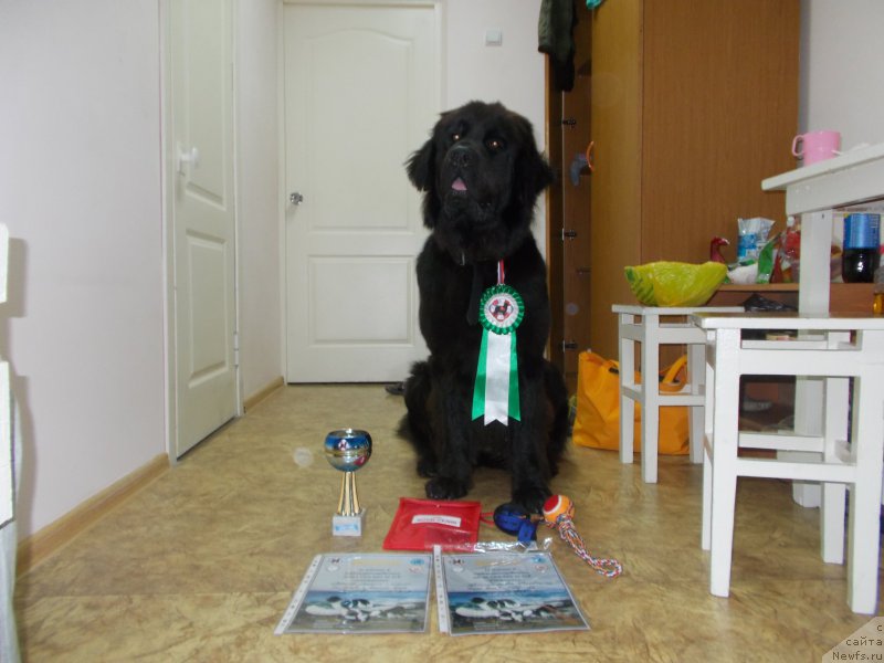 Фотография № 193219