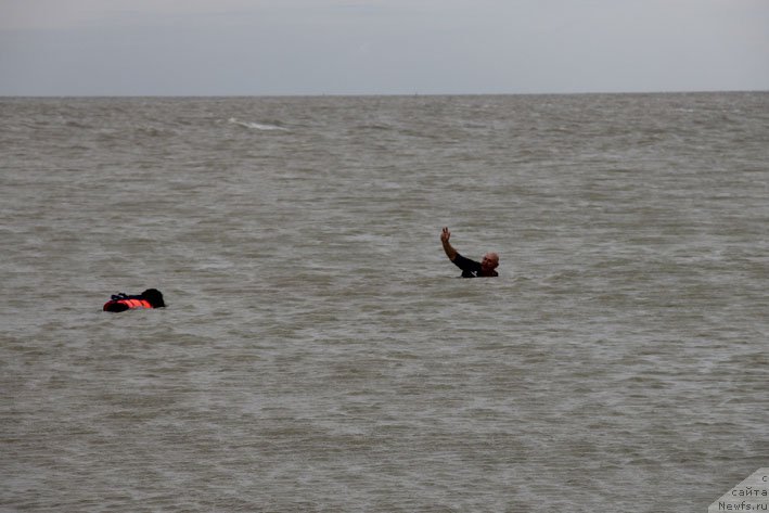 Фотография № 193230