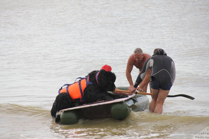 Фотография № 193234