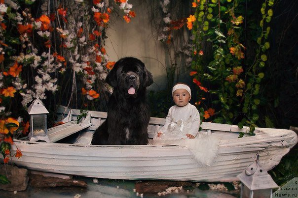 Фотография № 193255