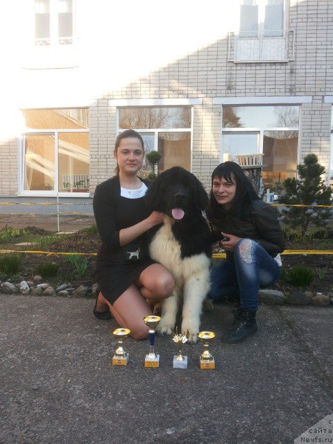 Фотография № 193257