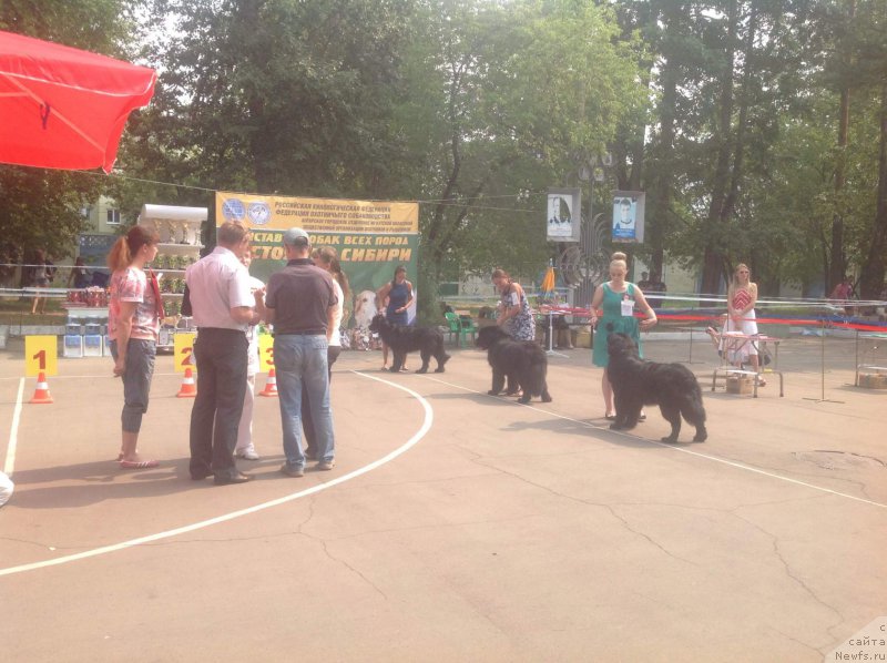 Фотография № 193258