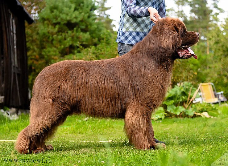 Фотография № 193281