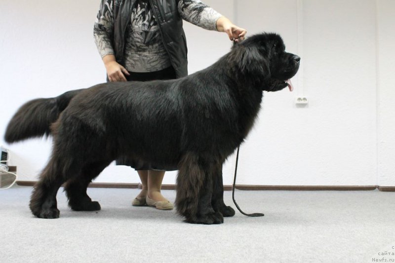 Фотография № 193294