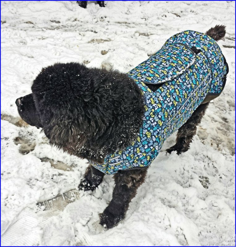 Фотография № 193314