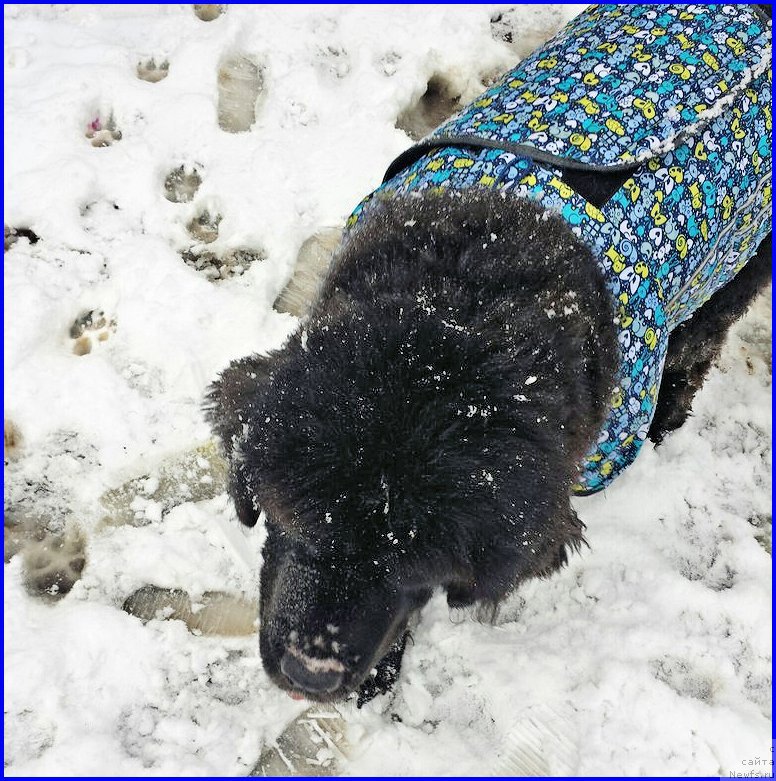 Фотография № 193316