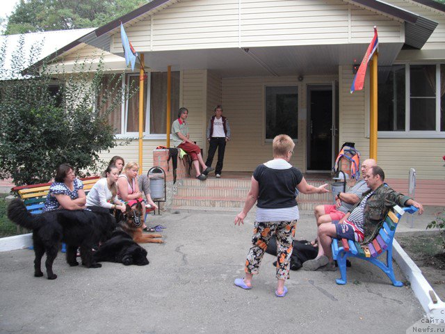 Фотография № 193323