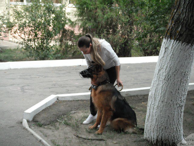 Фотография № 193329