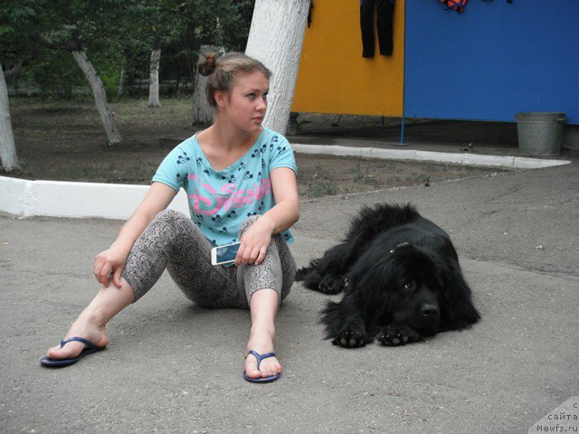 Фотография № 193332