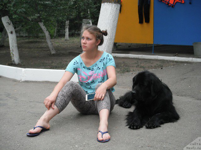 Фотография № 193334