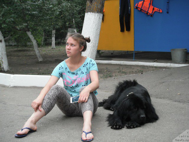 Фотография № 193335