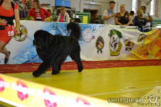 Фотография № 193337