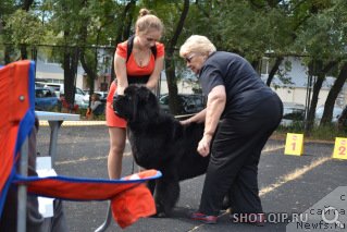 Фотография № 193338