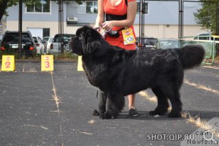 Фотография № 193340